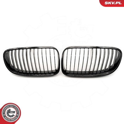 BMW 3 SERIES E92 FACELIFT COUPE RADIATOR GRILLE | OEM 51137254969