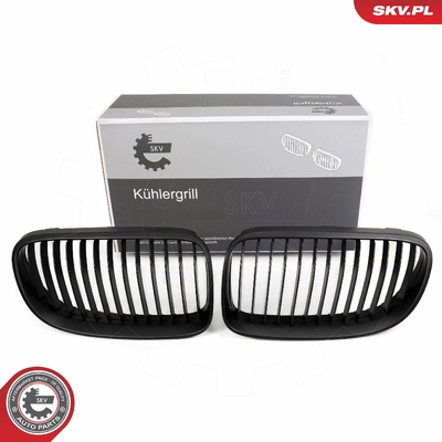 BMW 3 SERIES E92 FACELIFT COUPE RADIATOR GRILLE | OEM 51137254969