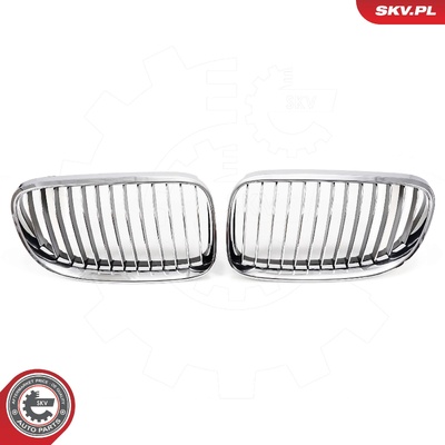 BMW 3 SERIES E92 FACELIFT COUPE RADIATOR GRILLE | OEM 51137254969