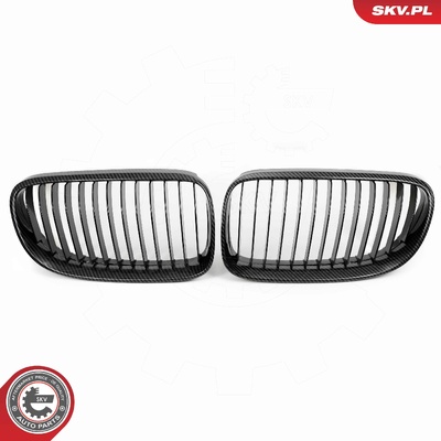 BMW 3 SERIES E92 FACELIFT COUPE RADIATOR GRILLE | OEM 51137254969