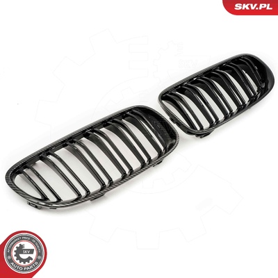 BMW 3 SERIES E92 FACELIFT COUPE RADIATOR GRILLE | OEM 51137254969