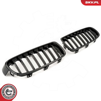 BMW 3 SERIES F30 RADIATOR GRILLE | OEM 51137255411