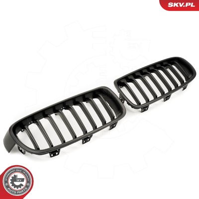 BMW 3 SERIES F30 RADIATOR GRILLE | OEM 51137255411