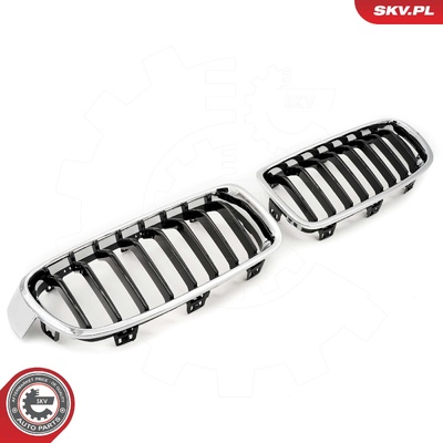 BMW 3 SERIES F30 RADIATOR GRILLE | OEM 51137255411