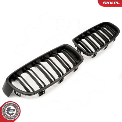BMW 3 SERIES F30 RADIATOR GRILLE | OEM 51137255411