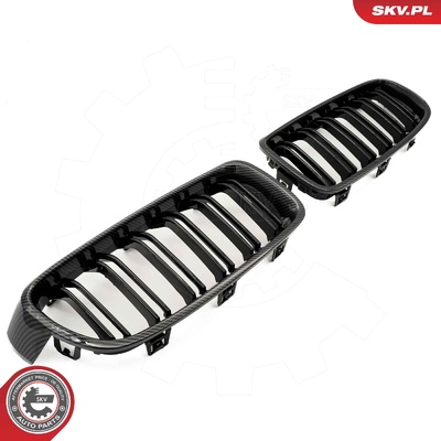 BMW 3 SERIES F30 RADIATOR GRILLE | OEM 51137255411