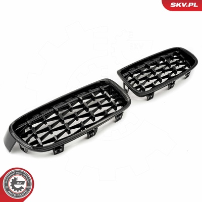 BMW 3 SERIES F30 RADIATOR GRILLE | OEM 51137255411