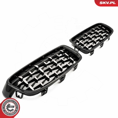 BMW 3 SERIES F30 RADIATOR GRILLE | OEM 51137255411