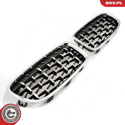 BMW 3 SERIES F30 RADIATOR GRILLE | OEM 51137255411