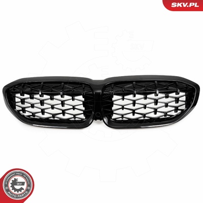 BMW 3 SERIES G20 RADIATOR GRILLE | OEM 51138072085