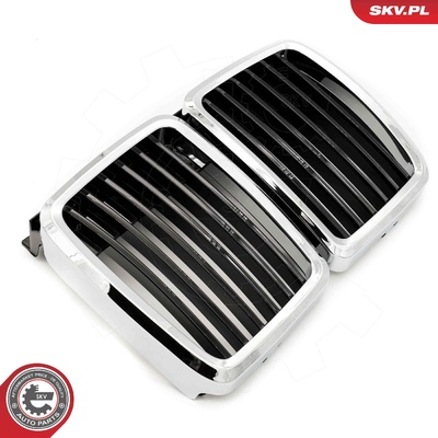 BMW 3 SERIES E30 RADIATOR GRILLE | OEM 51131884350