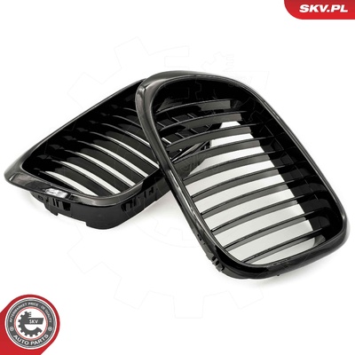 BMW 5 SERIES E39 RADIATOR GRILLE | OEM 51132497261
