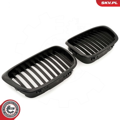 BMW 5 SERIES E39 RADIATOR GRILLE | OEM 51132497261