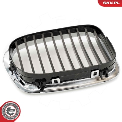 BMW 5 SERIES E39 RADIATOR GRILLE | OEM 51132497261