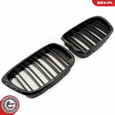 BMW 5 SERIES E39 RADIATOR GRILLE | OEM 51132497261