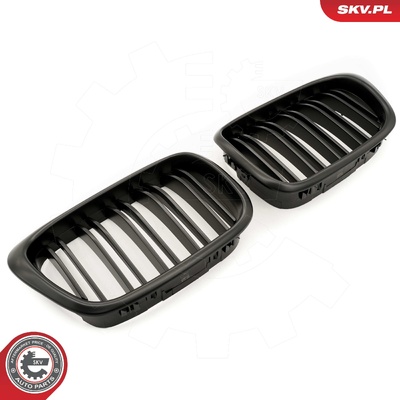BMW 5 SERIES E39 RADIATOR GRILLE | OEM 51132497261