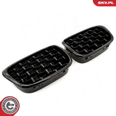 BMW 5 SERIES E39 RADIATOR GRILLE | OEM 51132497261