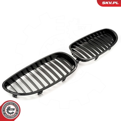 BMW 5 SERIES E60 RADIATOR GRILLE | OEM 51712155447