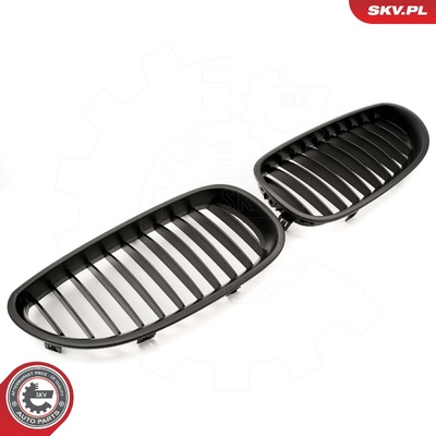 BMW 5 SERIES E60 RADIATOR GRILLE | OEM 51712155447