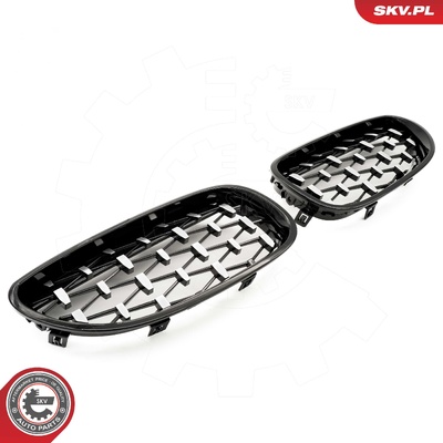 BMW 5 SERIES E60 RADIATOR GRILLE | OEM 51712155447