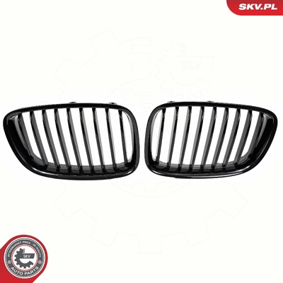 BMW 5 SERIES F07 RADIATOR GRILLE | OEM 51137200169