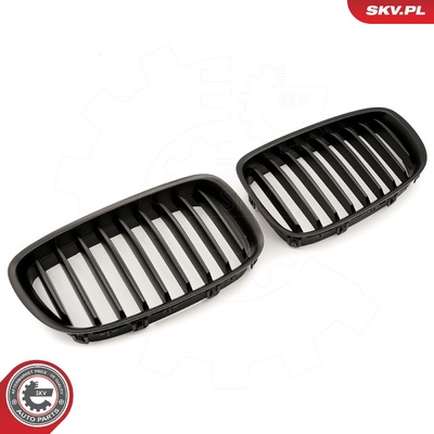 BMW 5 SERIES F07 RADIATOR GRILLE | OEM 51137200169