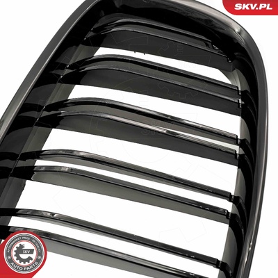 BMW 5 SERIES F07 RADIATOR GRILLE | OEM 51137200169