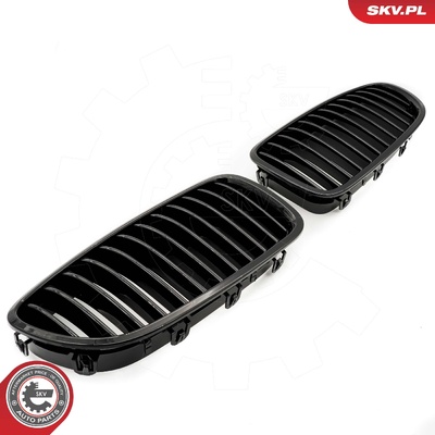 BMW 5 SERIES F10 RADIATOR GRILLE | OEM 51137261356
