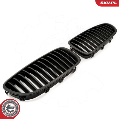 BMW 5 SERIES F10 RADIATOR GRILLE | OEM 51137261356