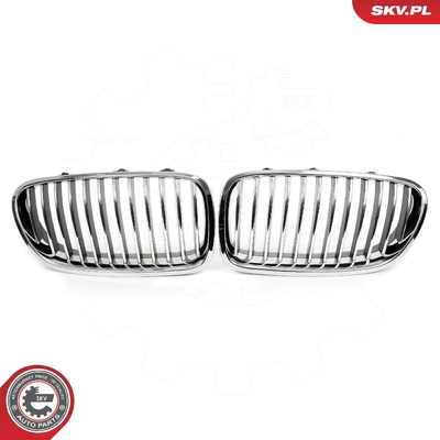 BMW 5 SERIES F10 RADIATOR GRILLE | OEM 51137261356
