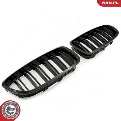 BMW 5 SERIES F10 RADIATOR GRILLE | OEM 51137261356