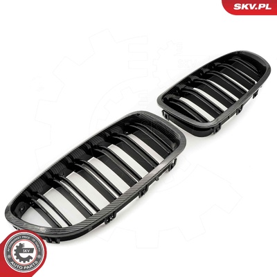 BMW 5 SERIES F10 RADIATOR GRILLE | OEM 51137261356