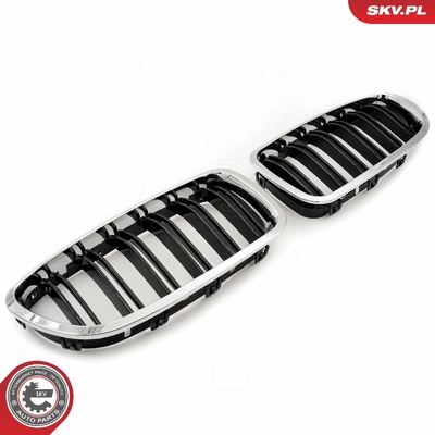 BMW 5 SERIES F10 RADIATOR GRILLE | OEM 51137261356