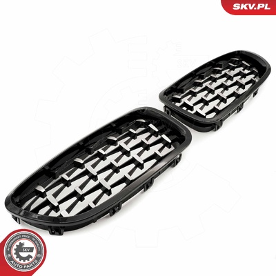 BMW 5 SERIES F10 RADIATOR GRILLE | OEM 51137261356