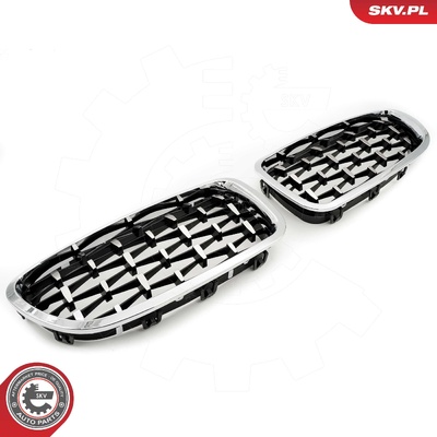 BMW 5 SERIES F10 RADIATOR GRILLE | OEM 51137261356