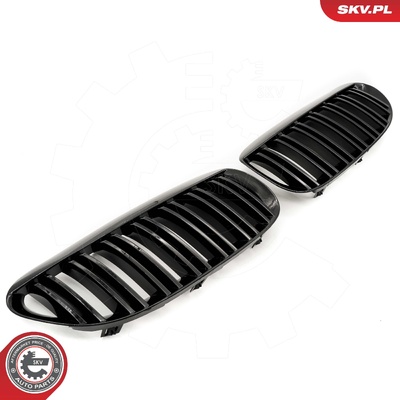 BMW 6 SERIES E63 RADIATOR GRILLE | OEM 51137008915