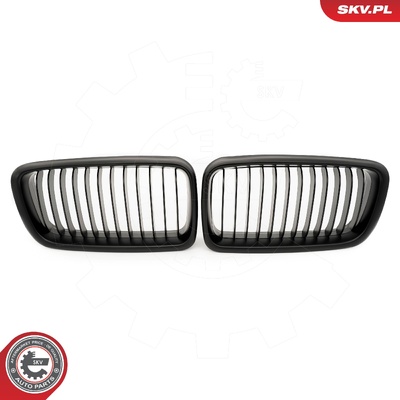 BMW 7 SERIES E38 RADIATOR GRILLE | OEM 51138125811