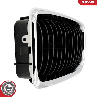 BMW 7 SERIES E38 RADIATOR GRILLE | OEM 51138125811