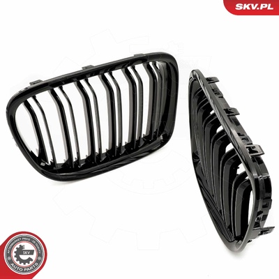 BMW X1 E84 RADIATOR GRILLE | OEM 51117347669