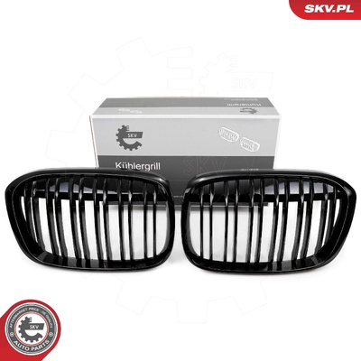 BMW X1 F48 RADIATOR GRILLE | OEM 51117383364
