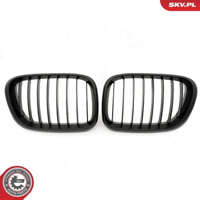 BMW X5 E53 RADIATOR GRILLE | OEM 51137113733