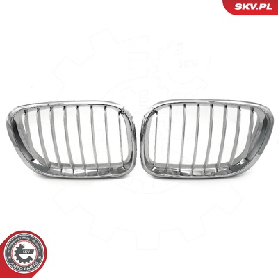 BMW X5 E53 RADIATOR GRILLE | OEM 51137113733