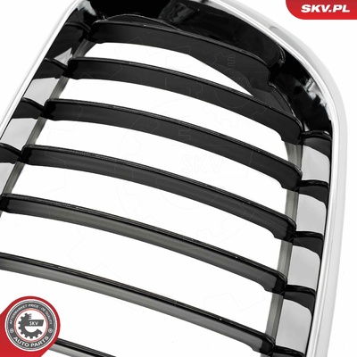 BMW X5 E53 RADIATOR GRILLE | OEM 51137113733