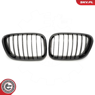 BMW X5 E53 RADIATOR GRILLE | OEM 51137113733