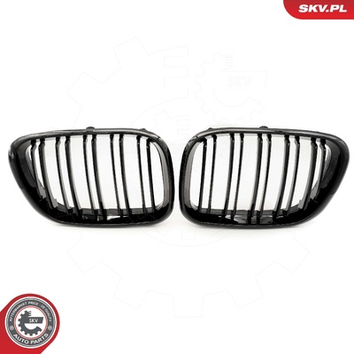 BMW X5 E53 RADIATOR GRILLE | OEM 51137113733