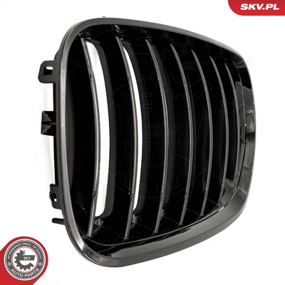 BMW X5 E53 FACELIFT RADIATOR GRILLE | OEM 51137124815