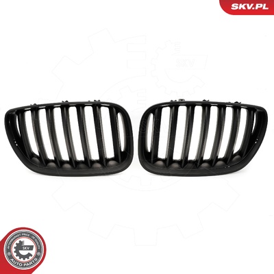 BMW X5 E53 FACELIFT RADIATOR GRILLE | OEM 51137124815