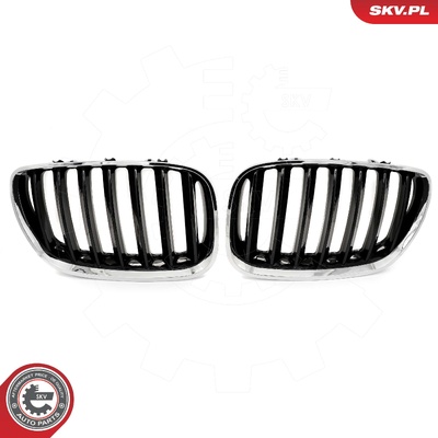 BMW X5 E53 FACELIFT RADIATOR GRILLE | OEM 51137124815