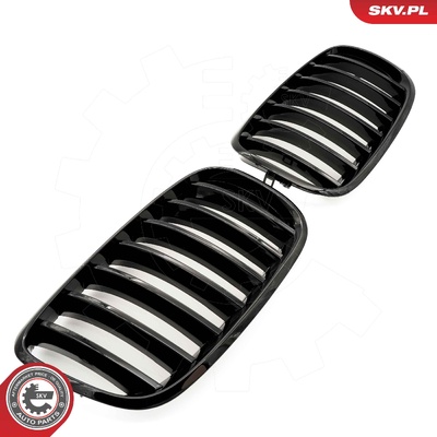 BMW X5 E70 RADIATOR GRILLE | OEM 51712150246