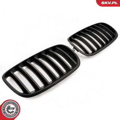 BMW X5 E70 RADIATOR GRILLE | OEM 51712150246